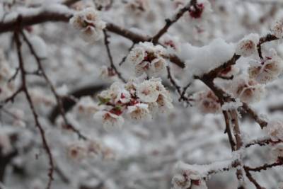 Завтра несколько областей Украины может засыпать снегом - синоптик