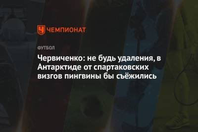 Червиченко: не будь удаления, в Антарктиде от спартаковских визгов пингвины бы съёжились