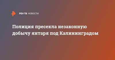 Полиция пресекла незаконную добычу янтаря под Калининградом