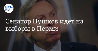 Сенатор Пушков идет на выборы в Перми