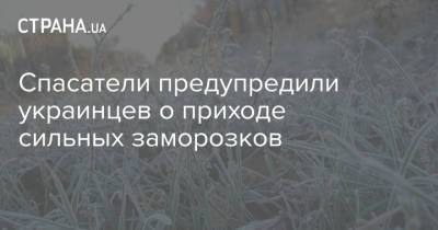 Спасатели предупредили украинцев о приходе сильных заморозков
