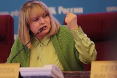 Памфилова пожаловалась Путину на давление при голосовании по Конституции