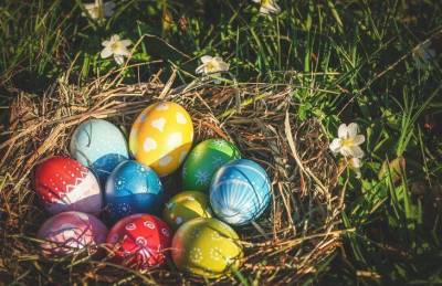 Как выбрать качественные яйца к Пасхе: 5 моментов, на которые стоит обратить внимание
