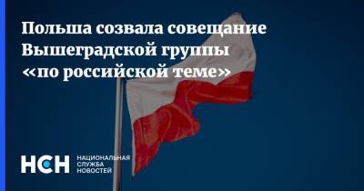 Польша созвала совещание Вышеградской группы «по российской теме»