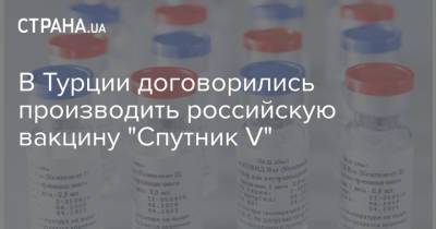 В Турции договорились производить российскую вакцину "Спутник V"