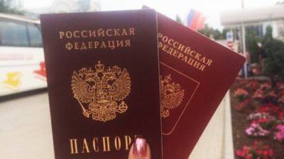 Вышинский объяснил, с чем сталкиваются жители ДНР после получения паспортов РФ - polit.info - ДНР - ЛНР - Донбасс