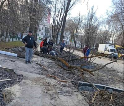 Ульяновские врачи прооперировали ребенка, на которого рухнуло дерево