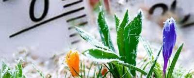 Волгоградское МЧС предупреждает: в конце апреля возможны заморозки