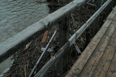 В Тверской области к мосту прибило пугающие ветки