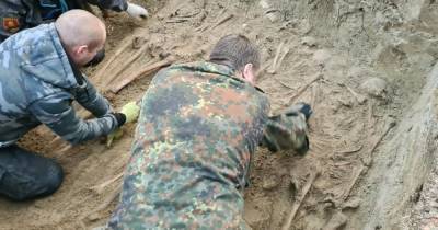 В Зеленоградском районе нашли братскую могилу 16 солдат