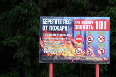 В МЧС предупредили о вспышке пожаров из-за пикников на майских праздниках