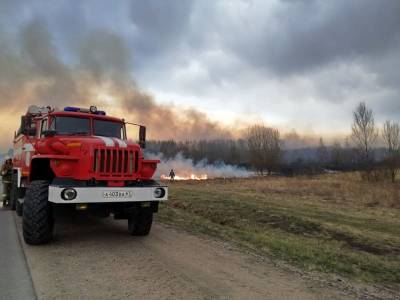 В Смоленской области из-за палов выгорело почти 2000 га