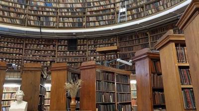 Посетители библиотеки в Петербурге подрались из-за стула в читальном зале