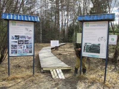 Экотропа в Керженском заповеднике временно закрыта из-за половодья