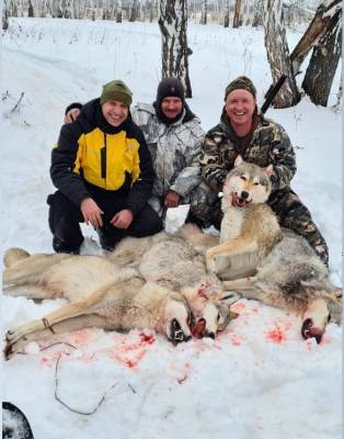 Полиция ведет проверку по охоте с участием курганского депутата-единоросса, где волка добивали снегоходом