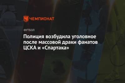 Полиция возбудила уголовное дело после массовой драки фанатов ЦСКА и «Спартака»