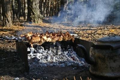 С сегодняшнего дня в лесах Татарстана запрещено готовить шашлыки