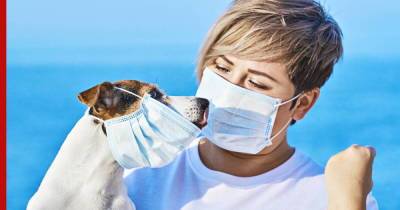 Как часто хозяева передают собакам коронавирус, выяснили ученые
