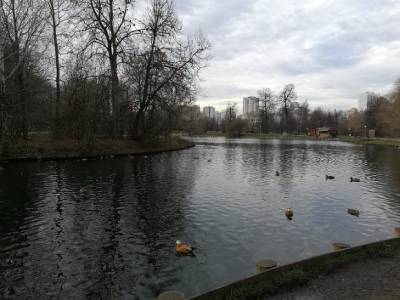 На московских водоемах зимние знаки безопасности заменили на летние