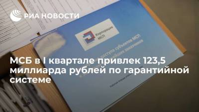 МСБ в I квартале привлек 123,5 миллиарда рублей по гарантийной системе
