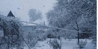 Зима вернулась. Сразу в нескольких регионах Украины выпал снег, в Карпатах пять градусов мороза — фото и видео