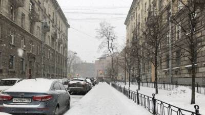 Снег выпал в нескольких районах Ленинградской области