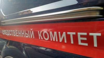 СК выясняет обстоятельства гибели выпавшей из окна 15-летней девочки в Ржеве