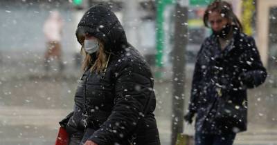 Синоптики предупредили москвичей о мокром снеге и обледенении