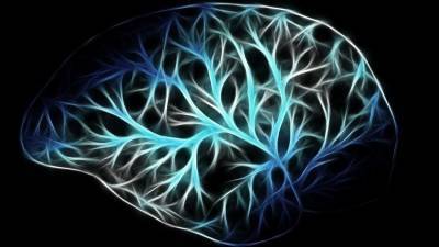 Как мозг различает мысли о прошлом и будущем - ученые