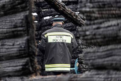 Жилой дом сгорел в Пушкиногорском районе