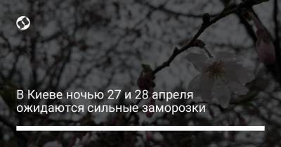 В Киеве ночью 27 и 28 апреля ожидаются сильные заморозки