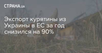 Экспорт курятины из Украины в ЕС за год снизился на 90%