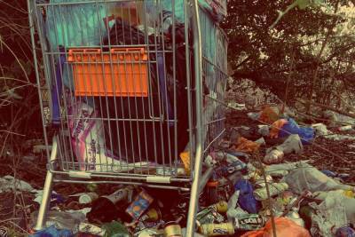 Депутат Хурала Бурятии предложил организовать бесплатный прием мусора