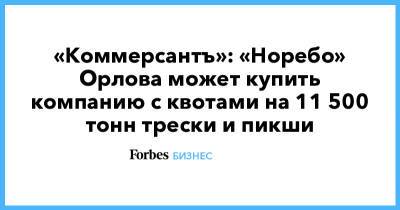 «Коммерсантъ»: «Норебо» Орлова может купить компанию с квотами на 11 500 тонн трески и пикши
