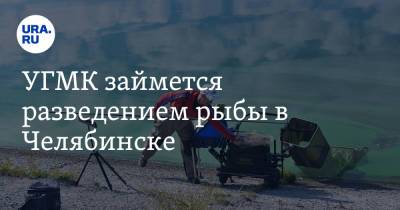 УГМК займется разведением рыбы в Челябинске