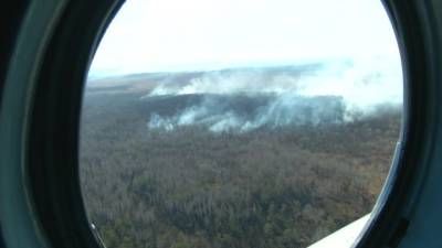 Площадь лесных пожаров в России сократилась до 4,5 тысячи гектаров