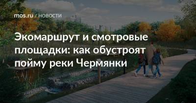 Экомаршрут и смотровые площадки: как обустроят пойму реки Чермянки