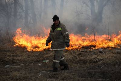 В Миассе загорелся лес на площади 78 гектаров