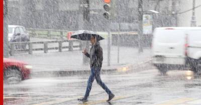 В Москве 27 апреля ожидается дождь со снегом