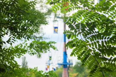 Минус сотня деревьев и бесплатная «канатка»: чем запомнился в Одессе понедельник 26 апреля