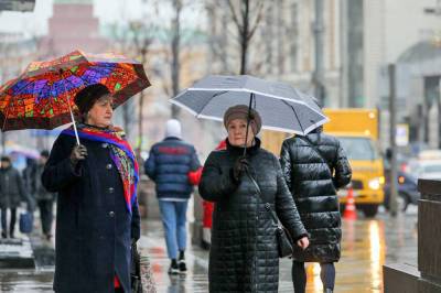 В Москве во вторник пройдет мокрый снег