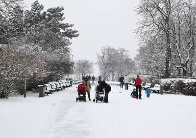 Жителей Чехии предупредили о сильных снегопадах