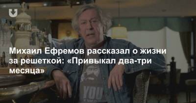 Михаил Ефремов рассказал о жизни за решеткой: «Привыкал два-три месяца»