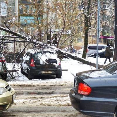 Апрельский снегопад нарушил энергоснабжение в районах Тульской области