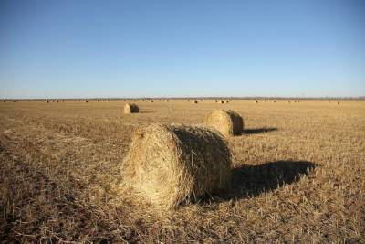 В Волгоградской области рано утром сгорело 2,5 тонны сена