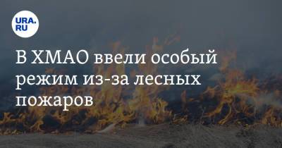 В ХМАО ввели особый режим из-за лесных пожаров