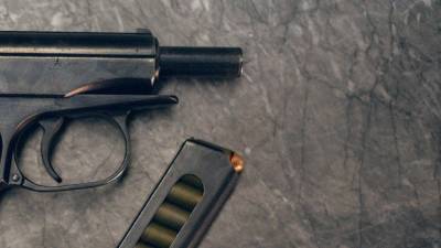 Силовики в Петербурге нашли пистолет рядом с трупом вдовы скульптора Шустрова