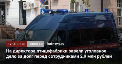 На директора птицефабрики завели уголовное дело за долг перед сотрудниками 2,9 млн рублей