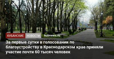 За первые сутки в голосовании по благоустройству в Краснодарском крае приняли участие почти 60 тысяч человек