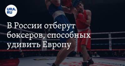 В России отберут боксеров, способных удивить Европу. Полсотни регионов представили своих кандидатов